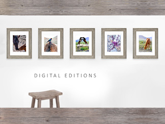 Digital editions